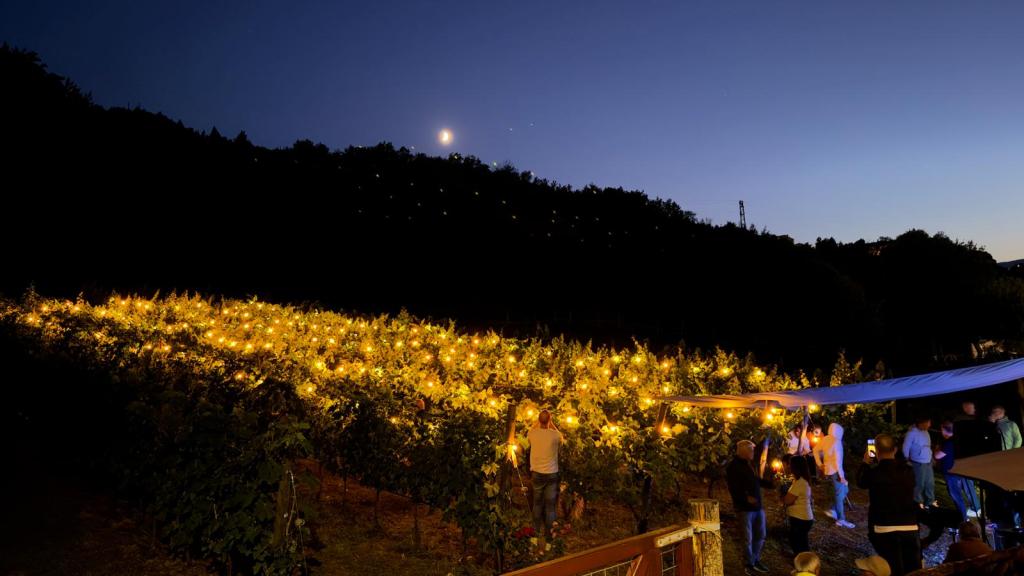 🍇 Sotto la luna, tra i filari: a Fano Adriano si brinda alla&nbsp;Comunità
